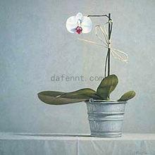 苦涩灵魂,苦涩灵魂的觉醒与重生