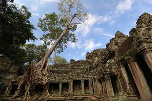 遗迹 2018,历史足迹的深度解读